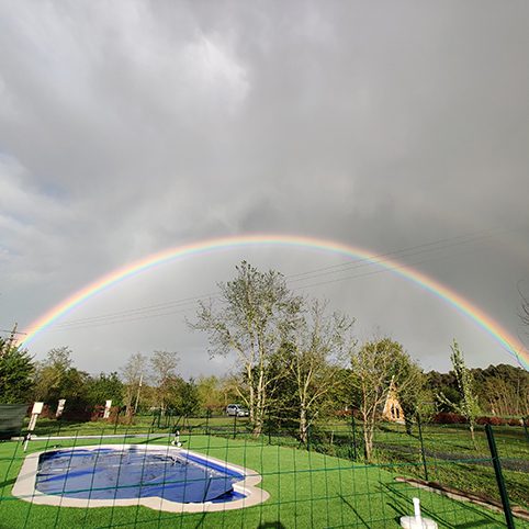 piscine tipi
