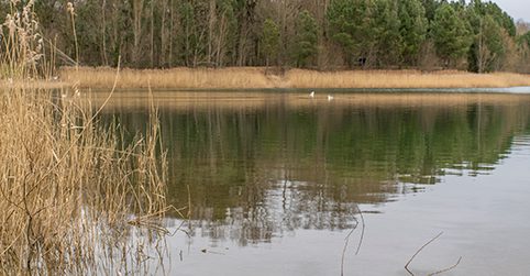 plan d'eau monteaux vivy nature